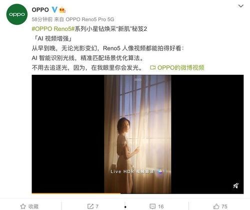 网曝爆料视频大全,揭秘网络热点事件背后的真相